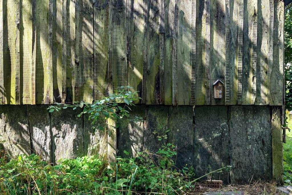 Longere Tinyhouse Avec Son Jardin-Foret Saint-Just  Esterno foto